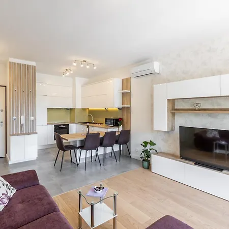 Luxury Apartment 